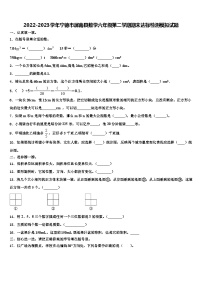 2022-2023学年宁德市屏南县数学六年级第二学期期末达标检测模拟试题含解析