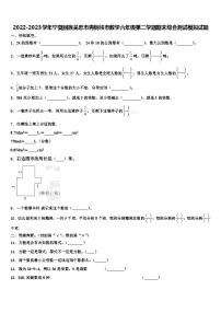 2022-2023学年宁夏回族吴忠市青铜峡市数学六年级第二学期期末综合测试模拟试题含解析