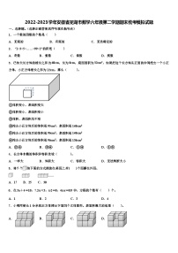 2022-2023学年安徽省芜湖市数学六年级第二学期期末统考模拟试题含解析