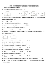 2022-2023学年安阳市文峰区数学六下期末监测模拟试题含解析