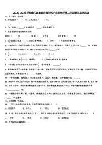 2022-2023学年山东省单县启智学校六年级数学第二学期期末监测试题含解析