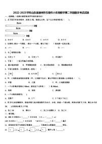 2022-2023学年山东省德州市乐陵市六年级数学第二学期期末考试试题含解析