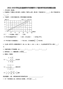 2022-2023学年山东省德州市齐河县数学六下期末教学质量检测模拟试题含解析