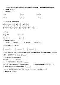 2022-2023学年山东省济宁市嘉祥县数学六年级第二学期期末检测模拟试题含解析