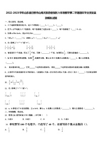 2022-2023学年山东省日照市山海天旅游度假区六年级数学第二学期期末学业质量监测模拟试题含解析