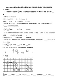 2022-2023学年山东省泰安市泰山区树人外国语学校数学六下期末调研试题含解析