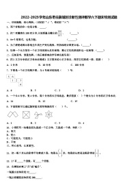 2022-2023学年山东枣庄薛城区诊断性测评数学六下期末检测试题含解析