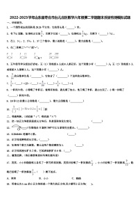 2022-2023学年山东省枣庄市台儿庄区数学六年级第二学期期末质量检测模拟试题含解析