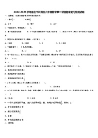 2022-2023学年崇左市江洲区六年级数学第二学期期末复习检测试题含解析