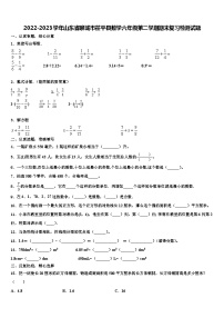 2022-2023学年山东省聊城市茌平县数学六年级第二学期期末复习检测试题含解析