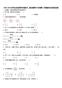 2022-2023学年山东省潍坊市昌邑市、昌乐县数学六年级第二学期期末达标测试试题含解析