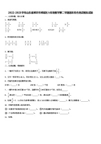 2022-2023学年山东省潍坊市潍城区六年级数学第二学期期末综合测试模拟试题含解析