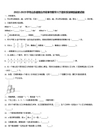 2022-2023学年山东省烟台市蓬莱市数学六下期末质量跟踪监视试题含解析