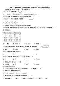 2022-2023学年山东省烟台市长岛县数学六下期末达标检测试题含解析