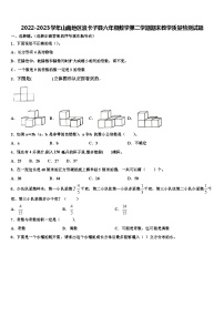 2022-2023学年山南地区浪卡子县六年级数学第二学期期末教学质量检测试题含解析