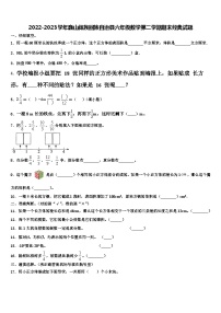 2022-2023学年巍山彝族回族自治县六年级数学第二学期期末经典试题含解析