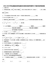 2022-2023学年山西省运城市盐湖区涑水联合双语学校数学六下期末质量检测试题含解析