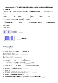 2022-2023学年广东省东莞市南城小学数学六年级第二学期期末经典模拟试题含解析