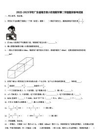 2022-2023学年广东省海丰县六年级数学第二学期期末联考试题含解析