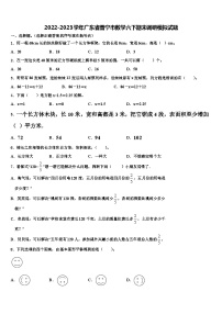 2022-2023学年广东省普宁市数学六下期末调研模拟试题含解析