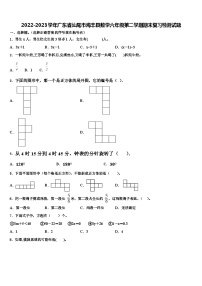 2022-2023学年广东省汕尾市海丰县数学六年级第二学期期末复习检测试题含解析