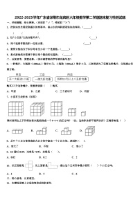 2022-2023学年广东省深圳市龙岗区六年级数学第二学期期末复习检测试题含解析