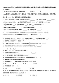 2022-2023学年广东省深圳市罗湖区数学六年级第二学期期末教学质量检测模拟试题含解析