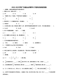 2022-2023学年广东省台山市数学六下期末达标测试试题含解析