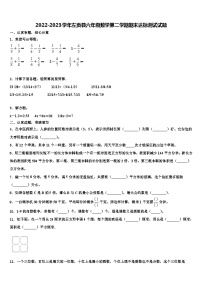 2022-2023学年左贡县六年级数学第二学期期末达标测试试题含解析