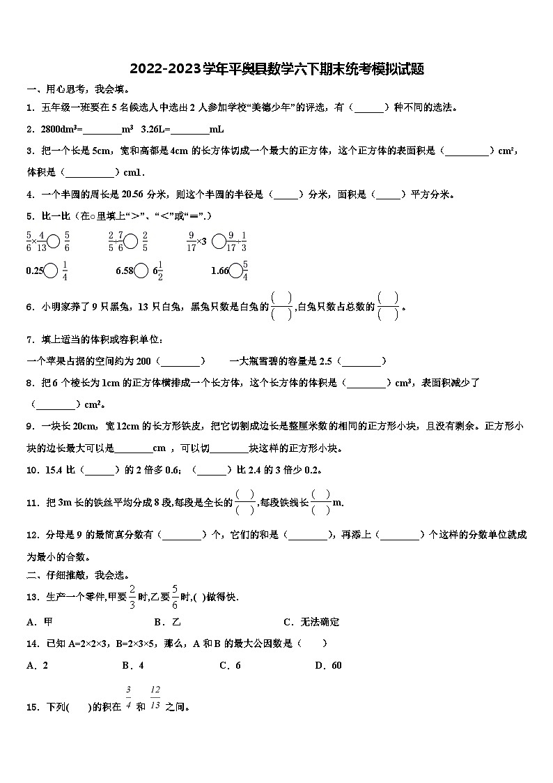 2022-2023学年平舆县数学六下期末统考模拟试题含解析第1页