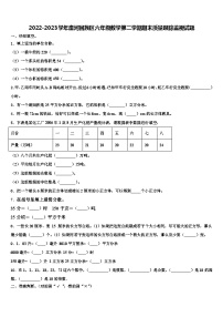 2022-2023学年廛河回族区六年级数学第二学期期末质量跟踪监视试题含解析