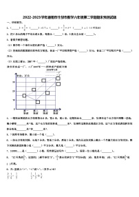 2022-2023学年德阳市什邡市数学六年级第二学期期末预测试题含解析