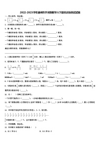 2022-2023学年德州市齐河县数学六下期末达标测试试题含解析