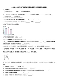 2022-2023学年广西防城港市思县数学六下期末经典试题含解析