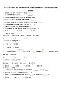 2022-2023学年广西广西壮族河池市环江毛南族自治县数学六下期末学业质量监测模拟试题含解析