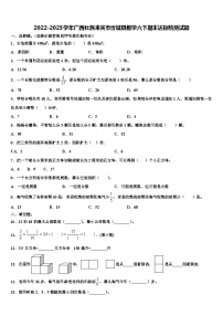 2022-2023学年广西壮族来宾市忻城县数学六下期末达标检测试题含解析