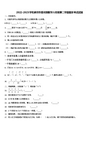 2022-2023学年廊坊市香河县数学六年级第二学期期末考试试题含解析