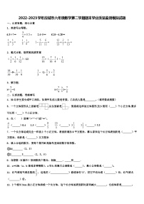 2022-2023学年应城市六年级数学第二学期期末学业质量监测模拟试题含解析