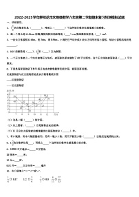 2022-2023学年攀枝花市米易县数学六年级第二学期期末复习检测模拟试题含解析