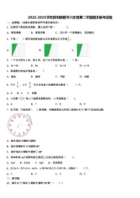 2022-2023学年新和县数学六年级第二学期期末联考试题含解析