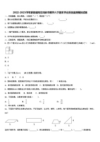 2022-2023学年新疆省克拉玛依市数学六下期末学业质量监测模拟试题含解析