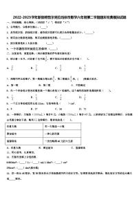 2022-2023学年新疆维吾尔克拉玛依市数学六年级第二学期期末经典模拟试题含解析