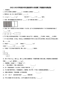 2022-2023学年新乡市红旗区数学六年级第二学期期末经典试题含解析