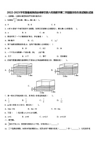 2022-2023学年楚雄彝族自治州禄丰县六年级数学第二学期期末综合测试模拟试题含解析