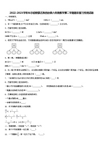 2022-2023学年杜尔伯特蒙古族自治县六年级数学第二学期期末复习检测试题含解析