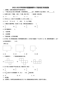 2022-2023学年桂林市荔蒲县数学六下期末复习检测试题含解析