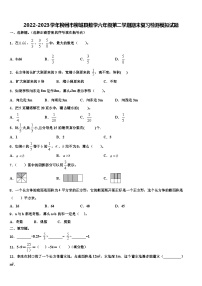 2022-2023学年柳州市柳城县数学六年级第二学期期末复习检测模拟试题含解析