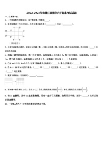 2022-2023学年普兰县数学六下期末考试试题含解析