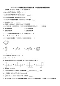 2022-2023学年桐柏县六年级数学第二学期期末联考模拟试题含解析