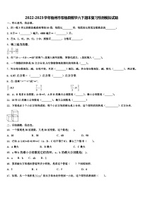 2022-2023学年梧州市苍梧县数学六下期末复习检测模拟试题含解析